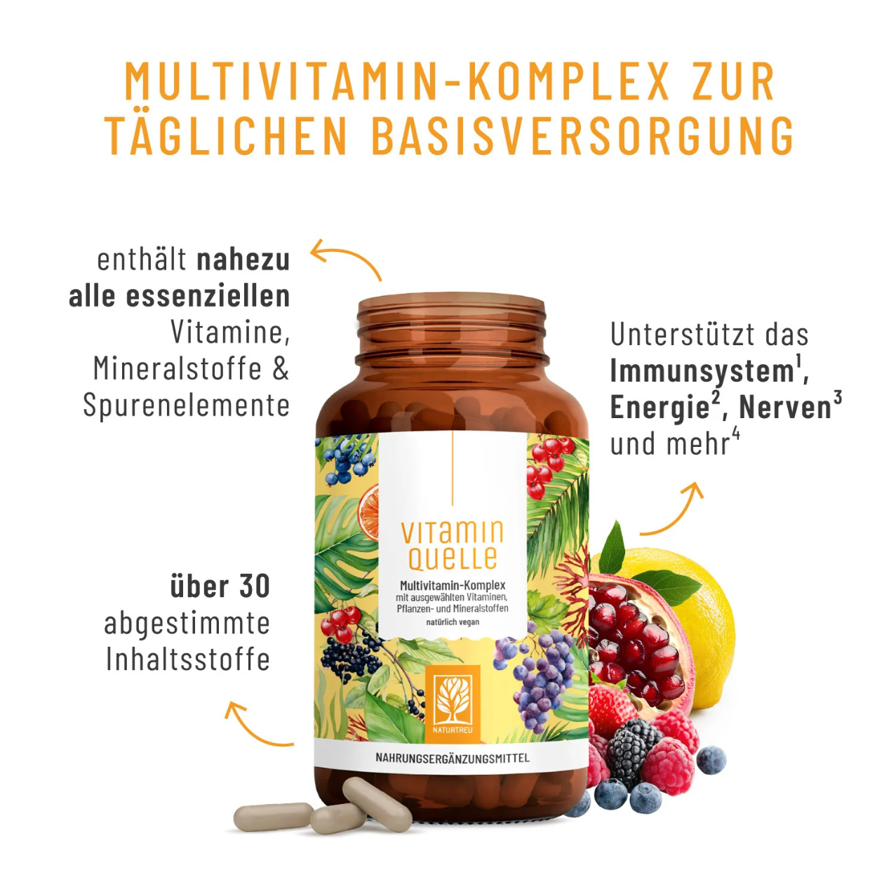 Naturtreu Vitaminquelle multivitamin complex with 35 active ingredients, vitamins, minerals, antioxidants, capsules, berries and fruit
